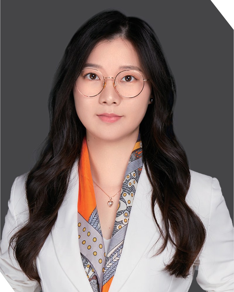 Huang Dongjie, Senior lawyer
