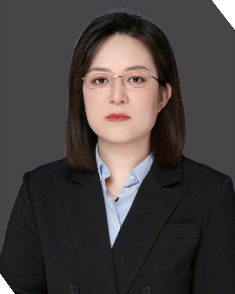 Lin Yanying, Senior lawyer